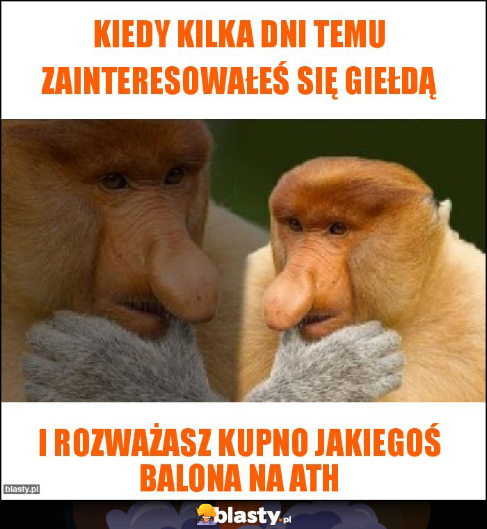 kiedy kilka dni temu zainteresowałeś się giełdą