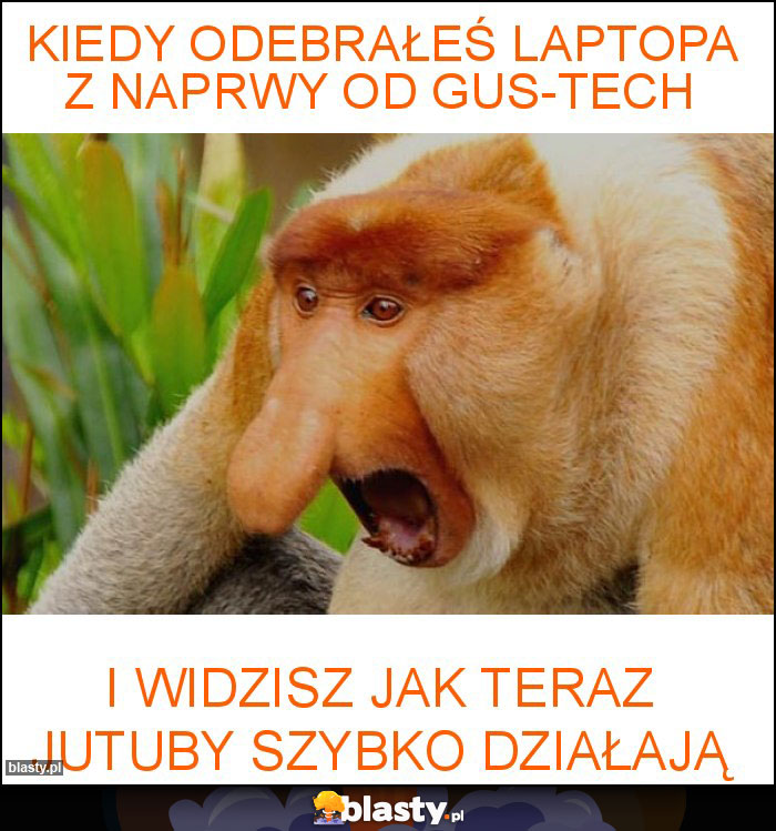 Kiedy odebrałeś laptopa z naprwy od GUS-TECH