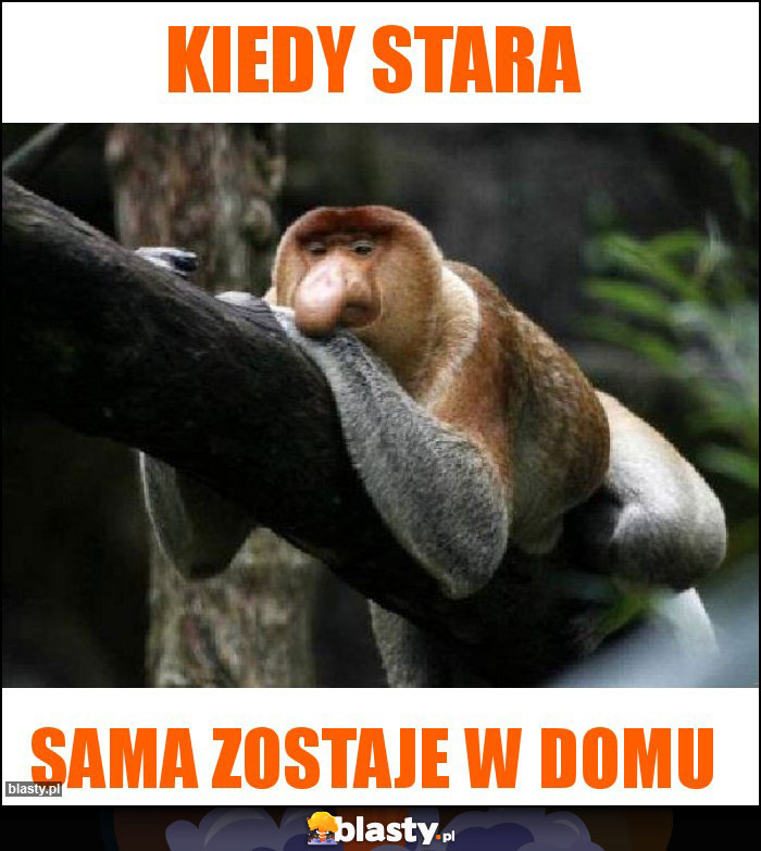 Kiedy stara