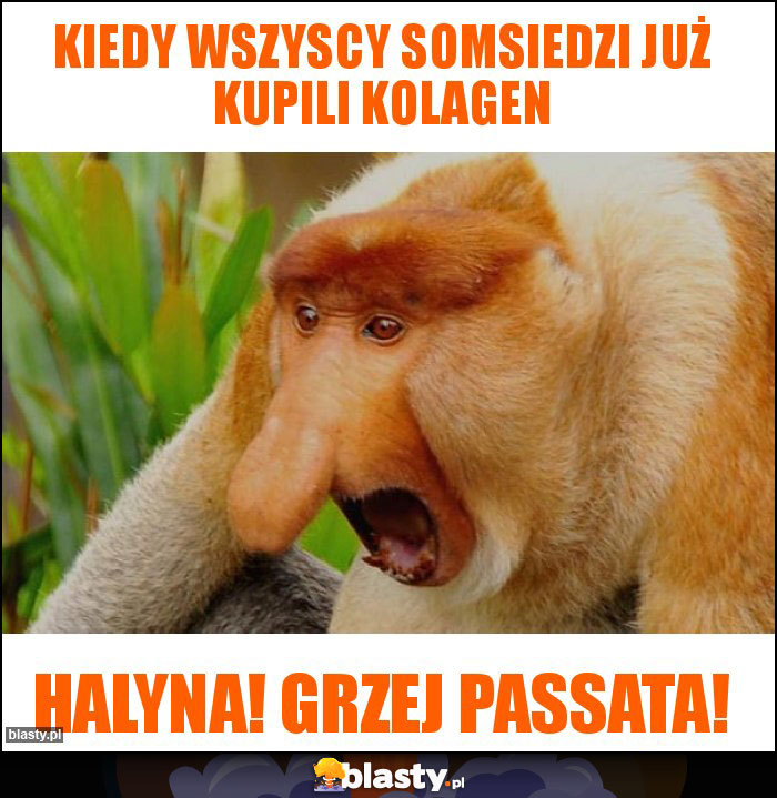 kiedy wszyscy somsiedzi już kupili kolagen