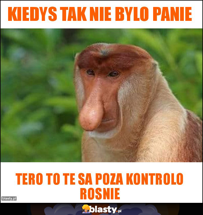 kiedys tak nie bylo Panie