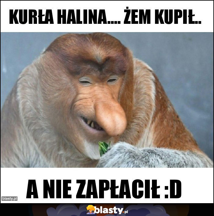 Kurła Halina.... Żem kupił..