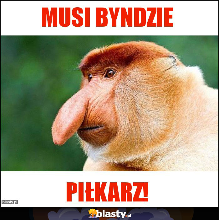 Musi Byndzie