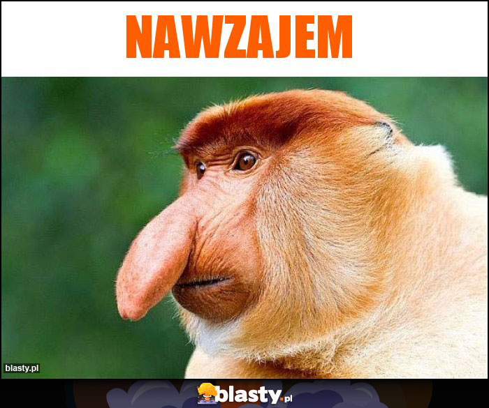 Nawzajem