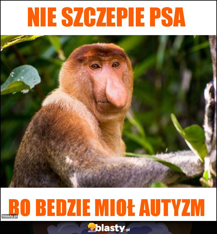 NIE SZCZEPIE PSA