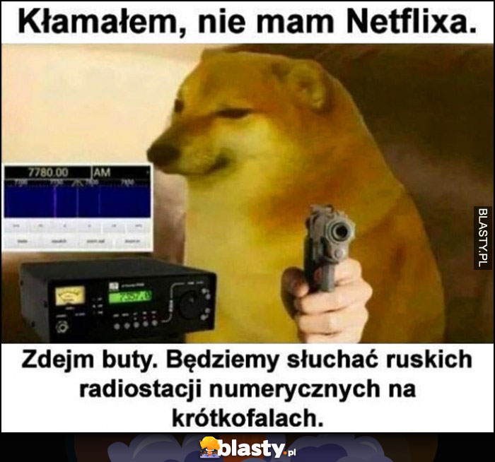 Pieseł doge kłamałem, nie mam Netflixa, zdejm buty, będziemy słuchać ruskich radiostacji numerycznych na krótkofalach