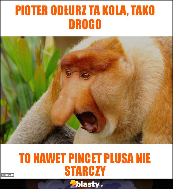 Pioter odłurz ta kola, tako drogo