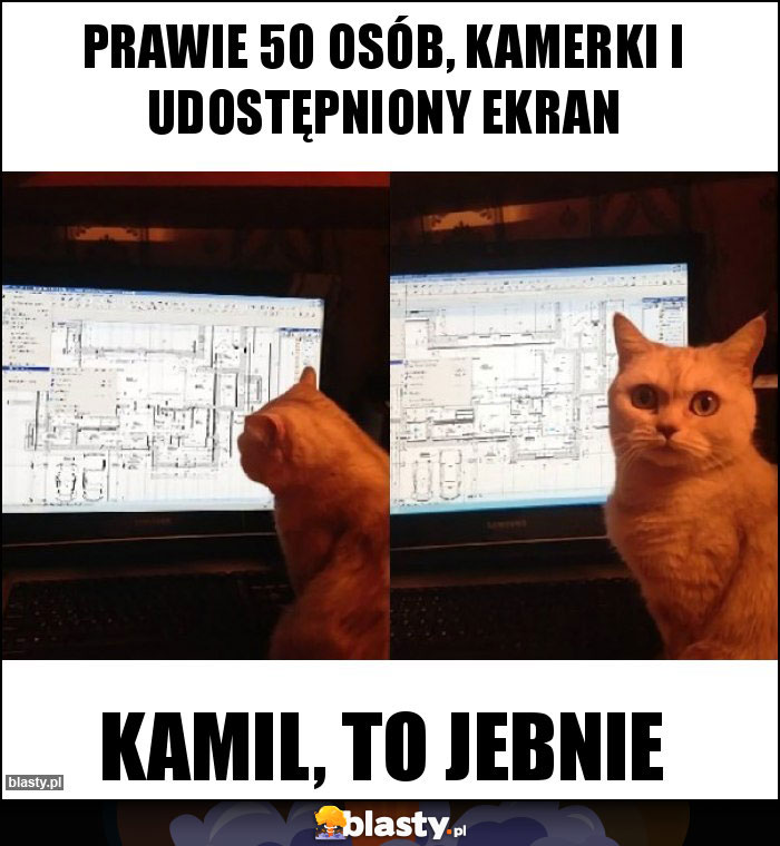 Prawie 50 osób, kamerki i udostępniony ekran