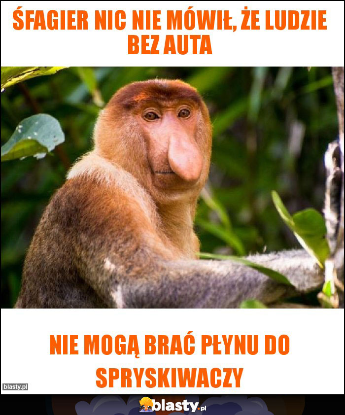 ŚFAGIER NIC NIE MÓWIŁ, ŻE LUDZIE BEZ AUTA