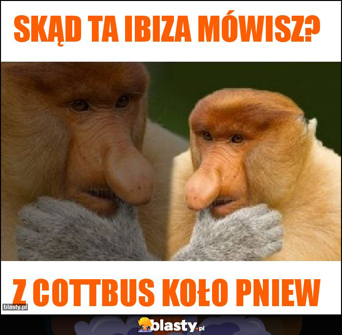 Skąd ta Ibiza mówisz?