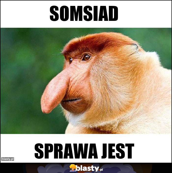 Somsiad