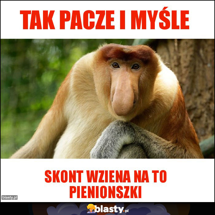 Tak pacze i myśle