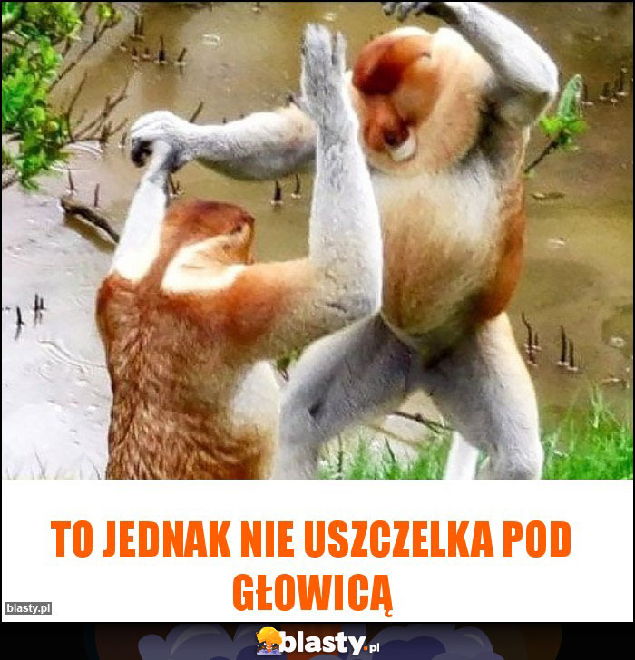 To jednak nie uszczelka pod głowicą