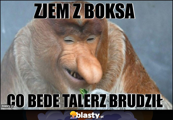 Zjem z boksa