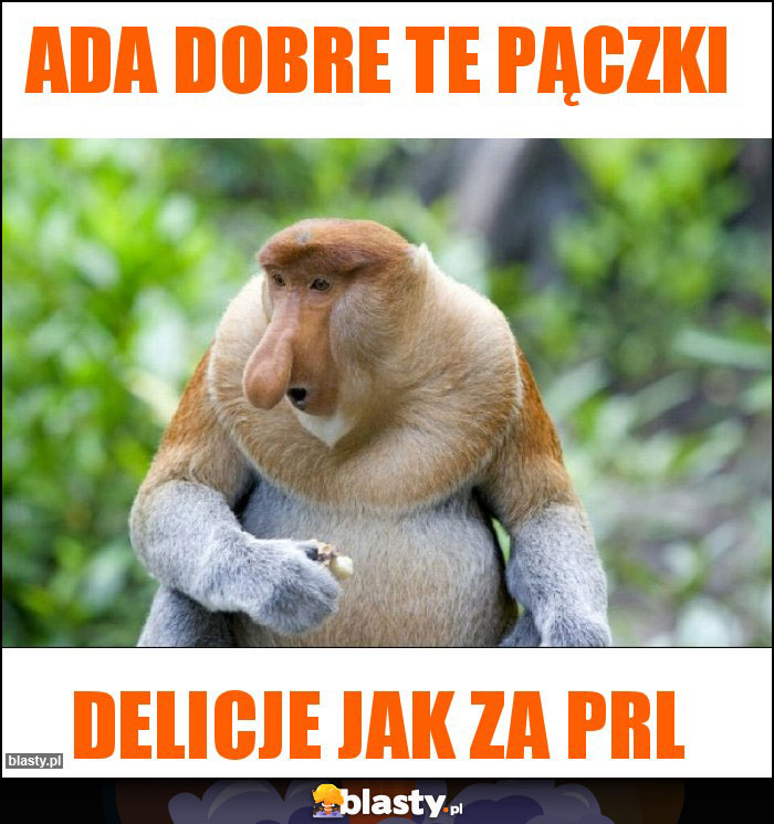 Ada dobre te pączki
