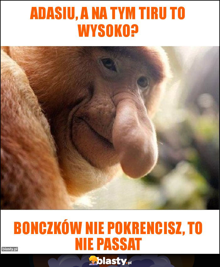 Adasiu, a na tym tiru to wysoko?