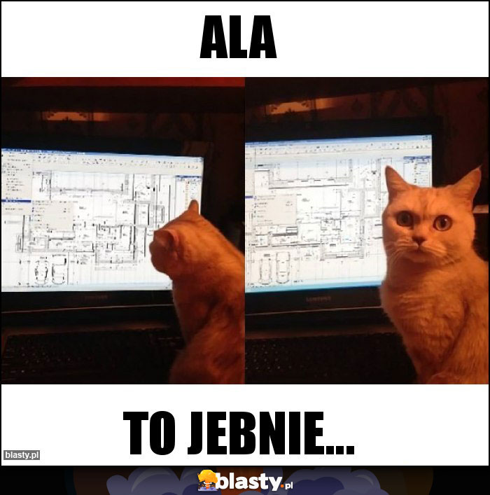 Ala
