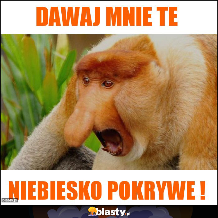Dawaj mnie te