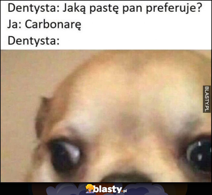 Dentysta: jaką pastę pan preferuje, ja: carbonarę, dentysta zdziwiony pies piesek