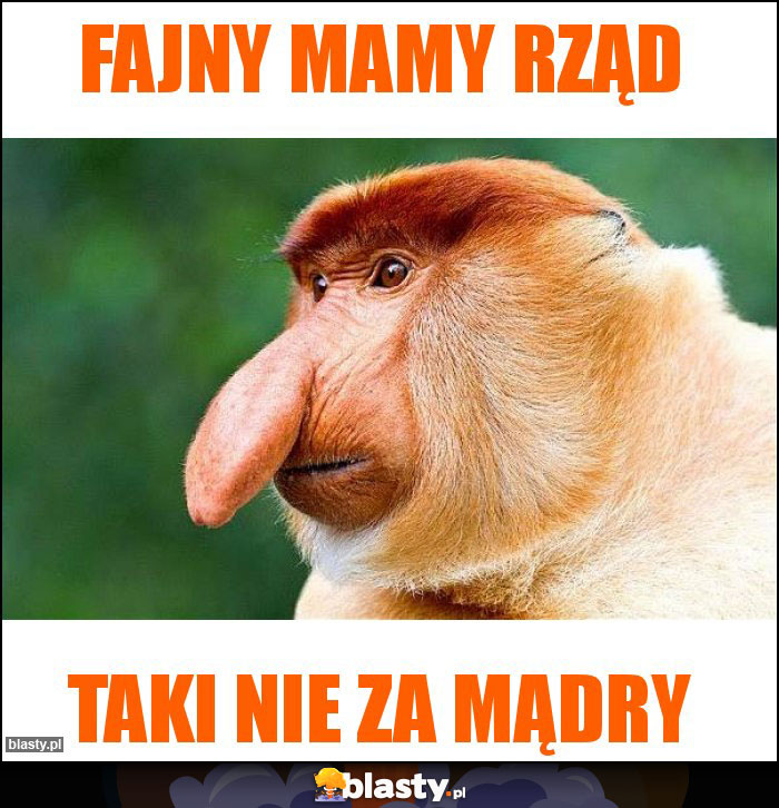 Fajny mamy rząd