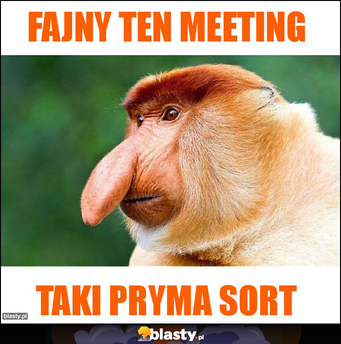 Fajny ten meeting