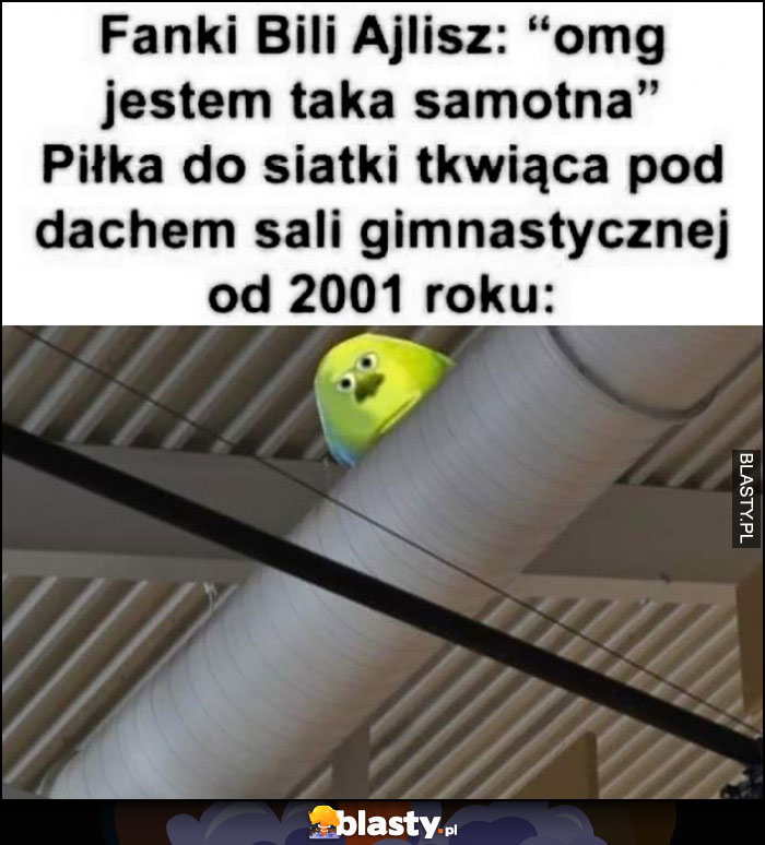 Fanki Bili Ajlisz: omg jestem taka samotna. Piłka do siatki tkwiąca pod dachem sali gimnastycznej od 2001 roku