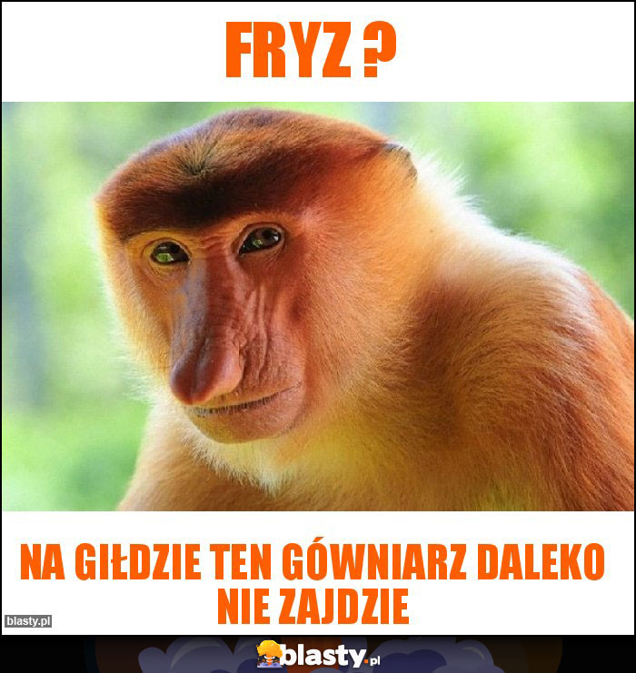 FRYZ ?