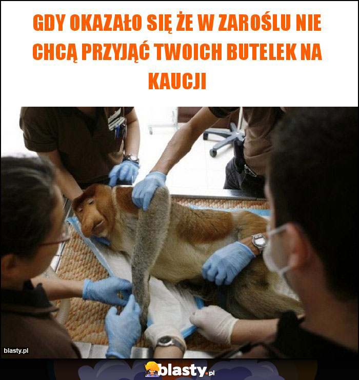Gdy okazało się że w Zaroślu nie chcą przyjąć Twoich butelek na kaucji