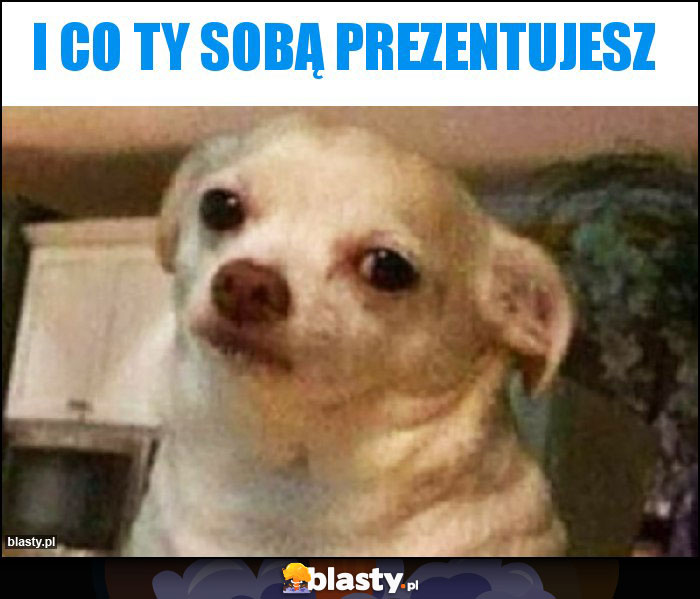 I co Ty sobą prezentujesz