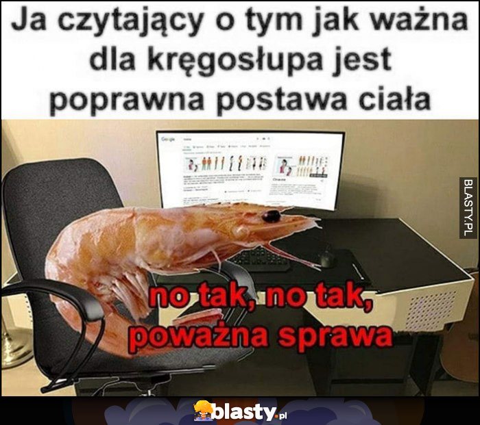 Ja czytający o tym jak ważna dla kręgosłupa jest poprawna postawa ciała skorupiak no tak poważna sprawa