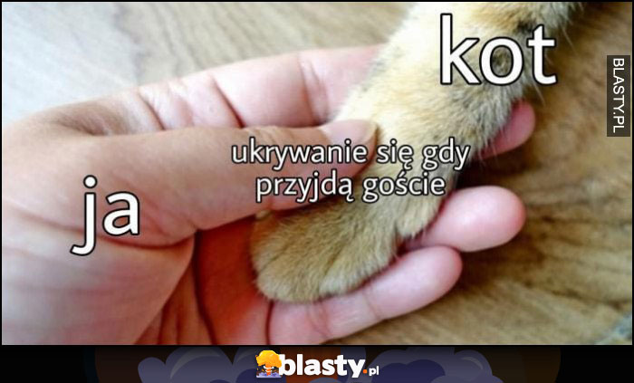 Ja kot łapka ukrywanie się gdy przyjdą goście