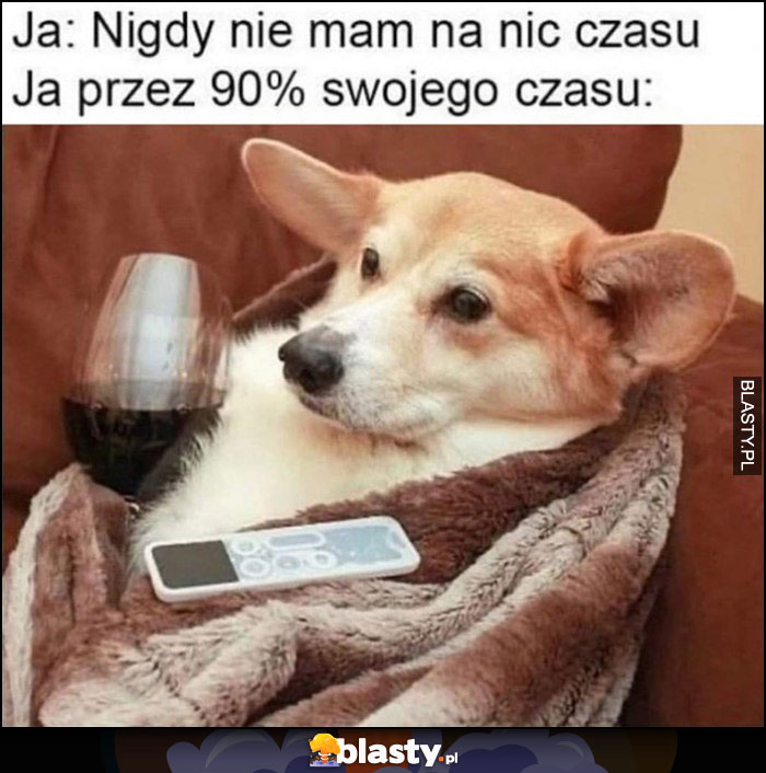 Ja: nigdy nie mam na nic czasu, ja przez 90% swojego czasu pies w kocu z winem i pilotem