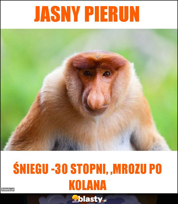 Jasny pierun