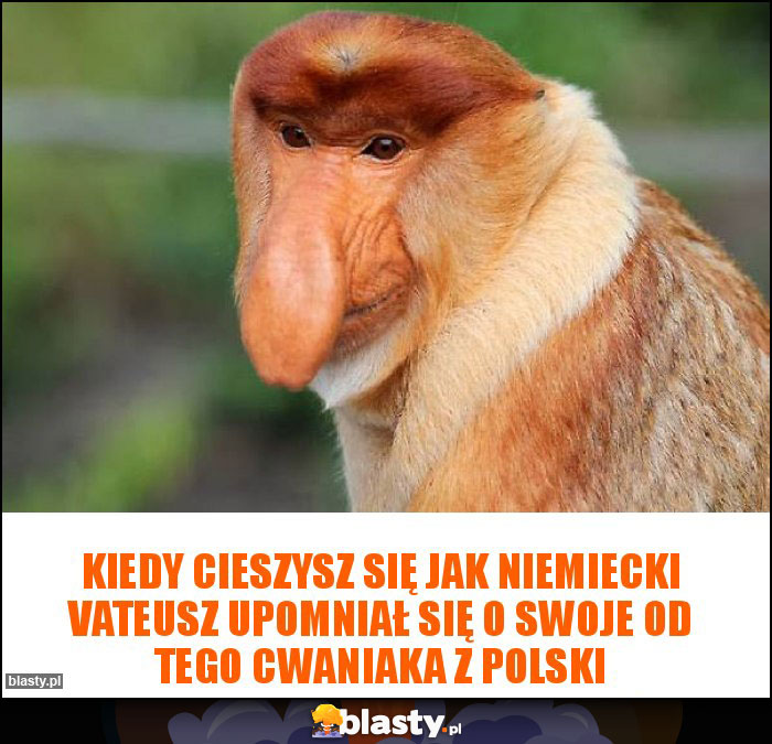 Kiedy cieszysz się jak Niemiecki Vateusz upomniał się o swoje od tego cwaniaka z Polski