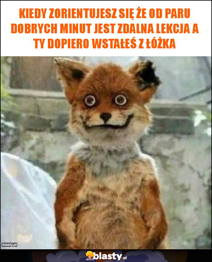 Kiedy zorientujesz się że od paru dobrych minut jest zdalna lekcja a ty dopiero wstałeś z łóżka