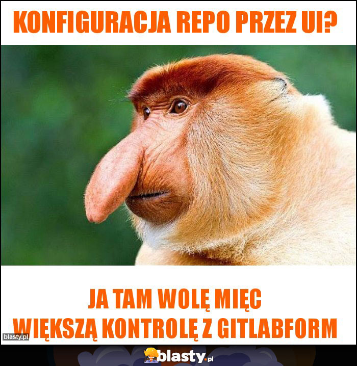 KOnfiguracja repo przez ui?