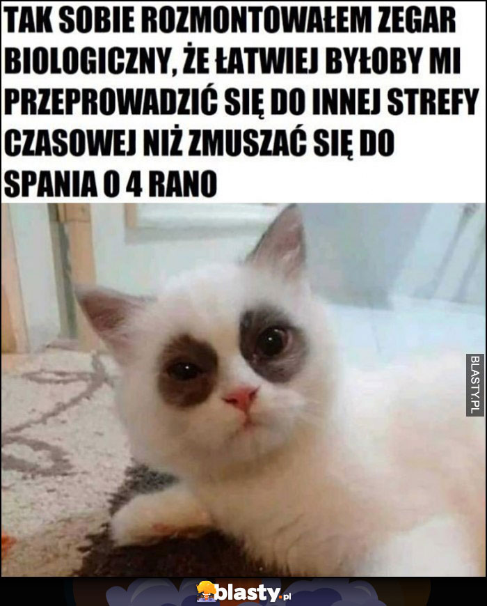 Kot podkrążone oczy, tak sobie rozmontowałem zegar biologiczny, że łatwiej byłoby mi przeprowadzić się do innej strefy czasowej niż zmuszać się do spania o 4 rano