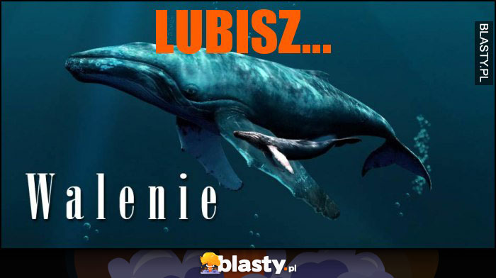 Lubisz...