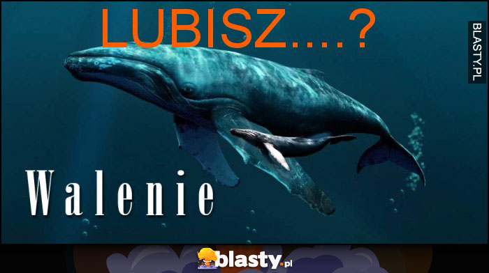 Lubisz....?