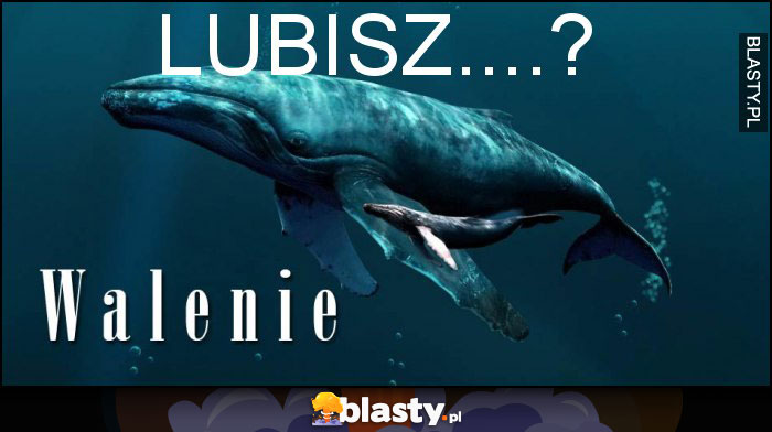 Lubisz....?