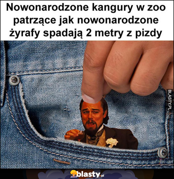 Nowonarodzone kangury w zoo patrzące jak nowonarodzone żyrafy spadają z wysokości 2 metrów Leonardo Dicaprio