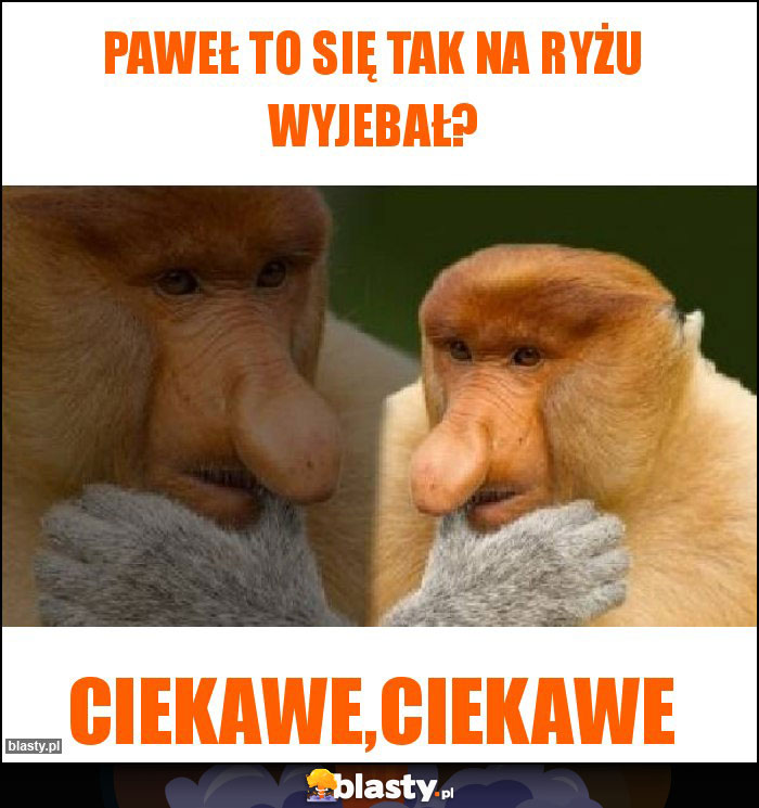 Paweł to się tak na ryżu wyjebał?
