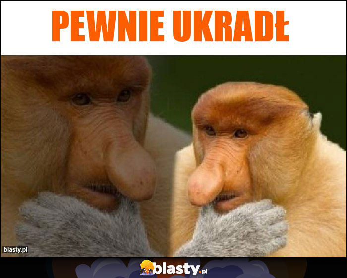 Pewnie ukradł