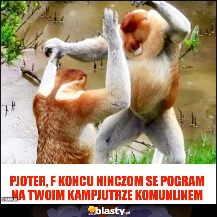 Pjoter, f koncu ninczom se pogram na twoim kampjutrze komunijnem