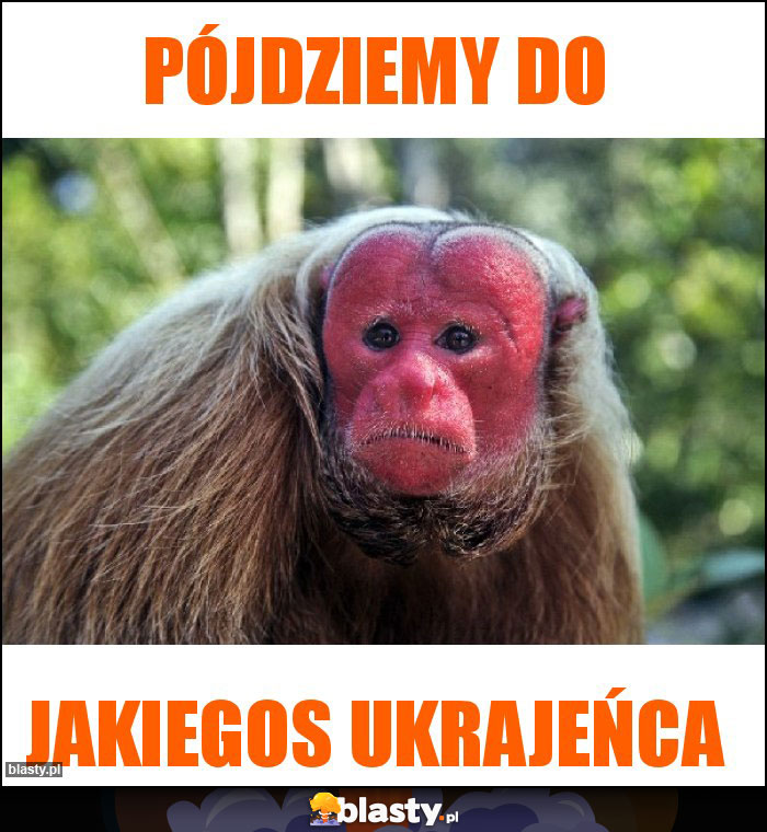 Pójdziemy do
