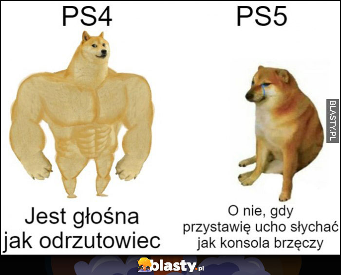 PS4 jest głośna jak odrzutowiec, PS5 o nie gdy przystawię ucho słychać jak konsola brzęczy pies pieseł doge