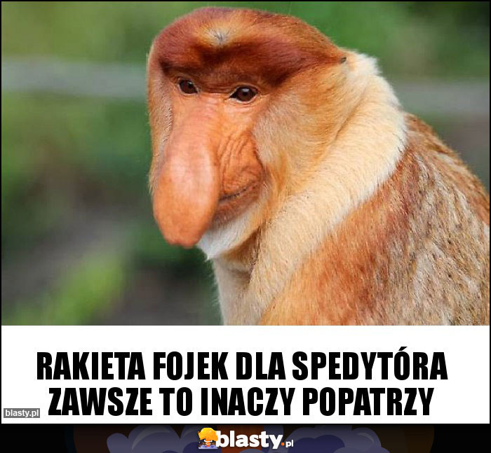 RAKIETA FOJEK DLA SPEDYTÓRA ZAWSZE TO INACZY POPATRZY