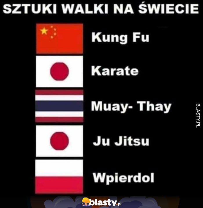 Sztuki walki na świecie: kung fu, karate, muay-thay, ju jitsu, w Polsce wpierdol