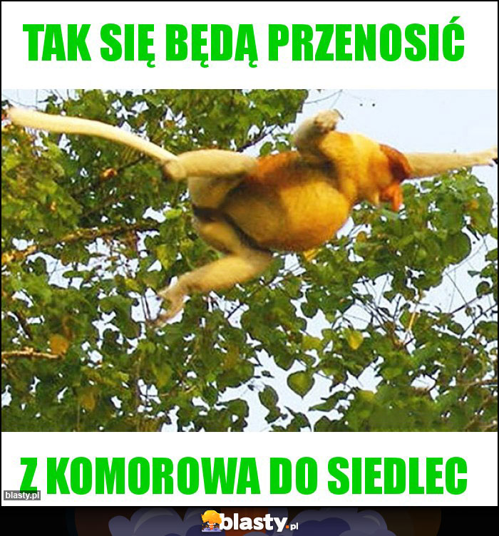 tak się będą przenosić