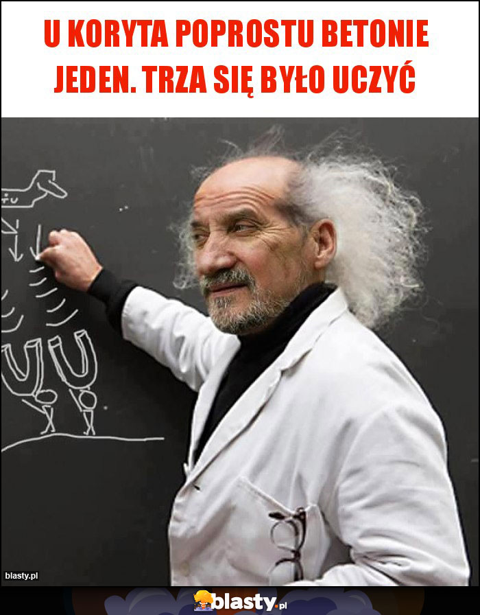 U koryta poprostu betonie jeden. Trza się było uczyć